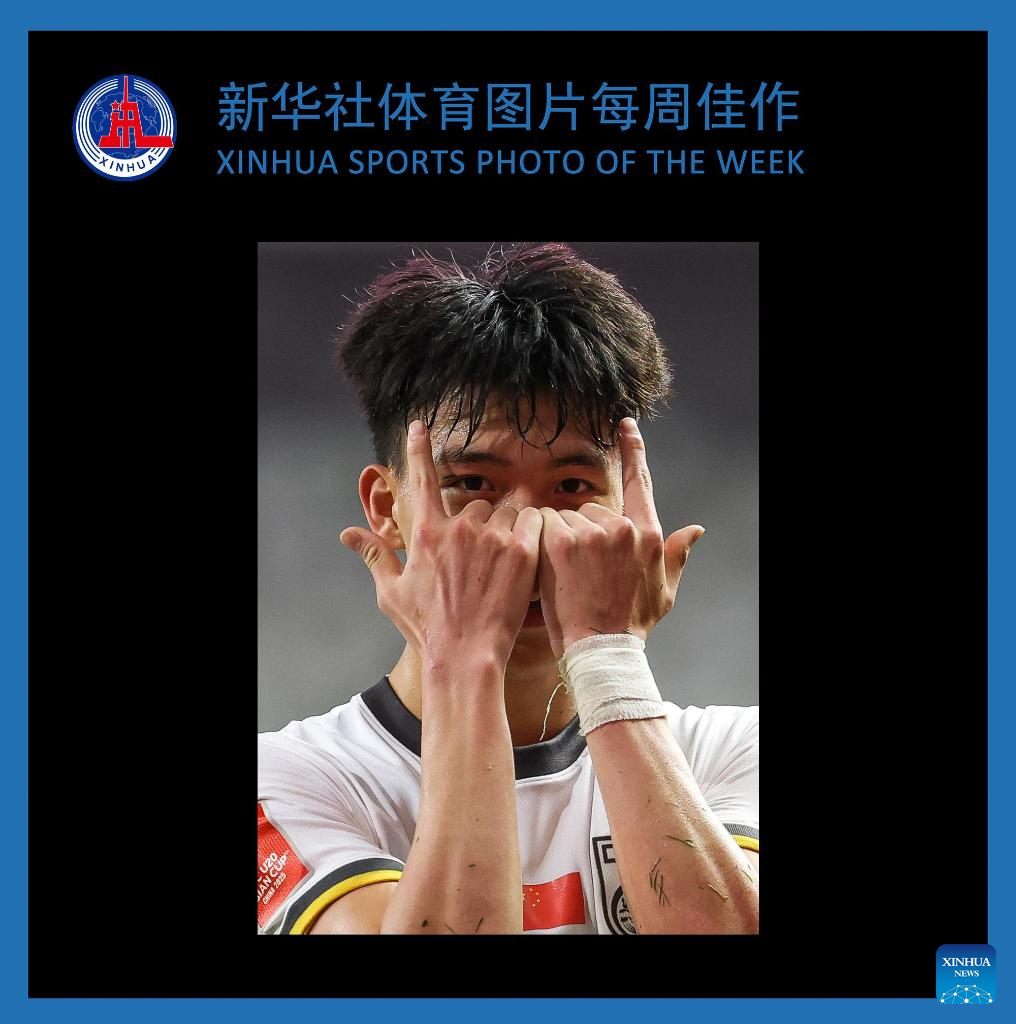 强调了他的